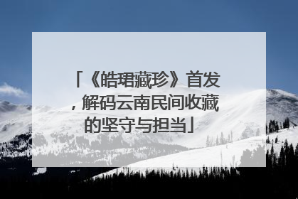 《皓珺藏珍》首发，解码云南民间收藏的坚守与担当