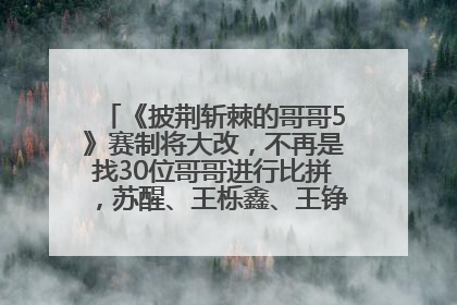 《披荆斩棘的哥哥5》赛制将大改，不再是找30位哥哥进行比拼，苏醒、王栎鑫、王铮亮、张远等多名男团选手被曝将参加