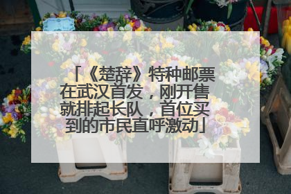 《楚辞》特种邮票在武汉首发，刚开售就排起长队，首位买到的市民直呼激动