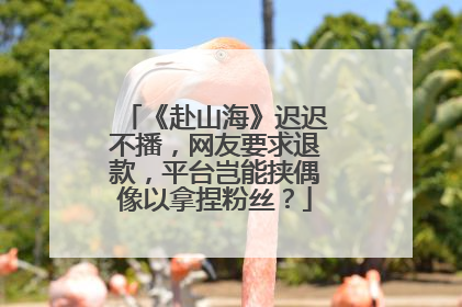 《赴山海》迟迟不播，网友要求退款，平台岂能挟偶像以拿捏粉丝？