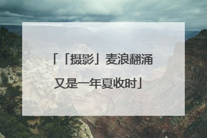 「摄影」麦浪翻涌 又是一年夏收时