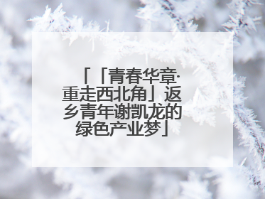 「青春华章·重走西北角」返乡青年谢凯龙的绿色产业梦