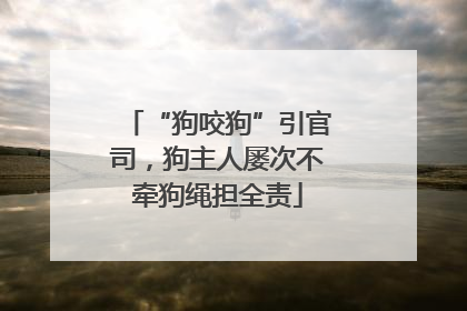 “狗咬狗”引官司，狗主人屡次不牵狗绳担全责