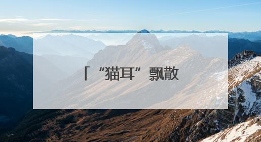 “猫耳”飘散荷香：一座江心岛的生态蜕变