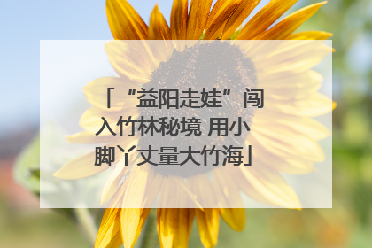 “益阳走娃”闯入竹林秘境 用小脚丫丈量大竹海