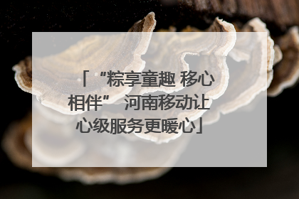 “粽享童趣 移心相伴” 河南移动让心级服务更暖心