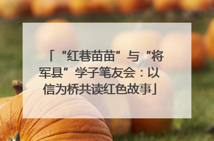 “红巷苗苗”与“将军县”学子笔友会：以信为桥共读红色故事