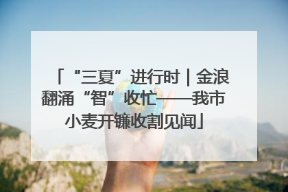 “三夏”进行时｜金浪翻涌“智”收忙——我市小麦开镰收割见闻