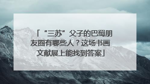 “三苏”父子的巴蜀朋友圈有哪些人？这场书画文献展上能找到答案