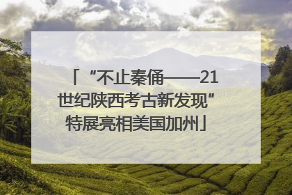 “不止秦俑——21世纪陕西考古新发现”特展亮相美国加州