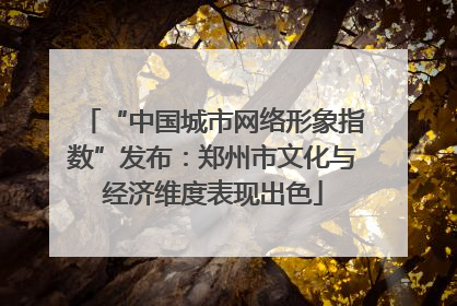 “中国城市网络形象指数”发布：郑州市文化与经济维度表现出色
