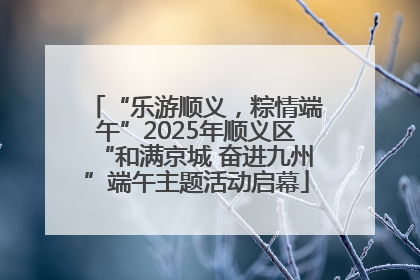 “乐游顺义，粽情端午”2025年顺义区“和满京城 奋进九州”端午主题活动启幕
