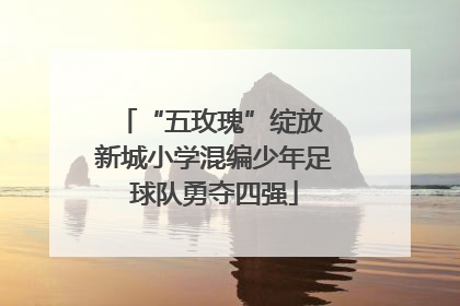 “五玫瑰”绽放 新城小学混编少年足球队勇夺四强