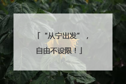 “从宁出发”，自由不设限！