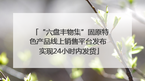 “六盘丰物集”固原特色产品线上销售平台发布 实现24小时内发货