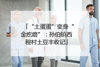 “土蛋蛋”变身“金疙瘩”：孙伯镇西程村土豆丰收记