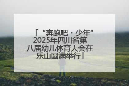 “奔跑吧・少年”2025年四川省第八届幼儿体育大会在乐山圆满举行