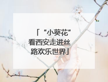 “小葵花”看西安走进丝路欢乐世界