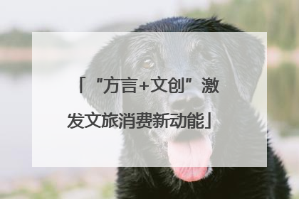 “方言+文创”激发文旅消费新动能