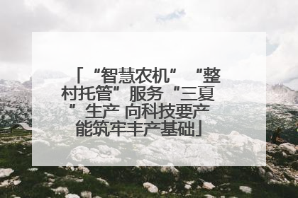 “智慧农机”“整村托管”服务“三夏”生产 向科技要产能筑牢丰产基础