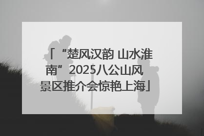 “楚风汉韵 山水淮南”2025八公山风景区推介会惊艳上海