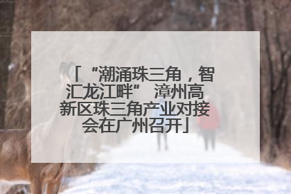 “潮涌珠三角，智汇龙江畔” 漳州高新区珠三角产业对接会在广州召开
