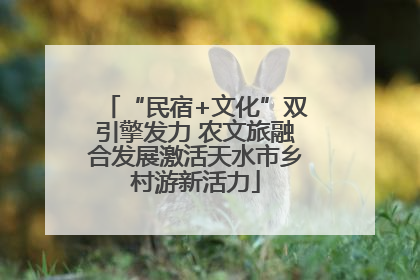 “民宿+文化”双引擎发力 农文旅融合发展激活天水市乡村游新活力