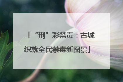 “荆”彩禁毒：古城织就全民禁毒新图景