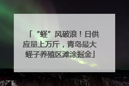 “蛏”风破浪！日供应量上万斤，青岛最大蛏子养殖区滩涂掘金