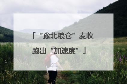 “豫北粮仓”麦收跑出“加速度”