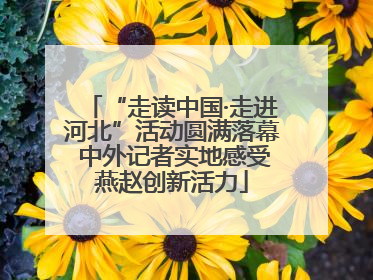 “走读中国·走进河北”活动圆满落幕 中外记者实地感受燕赵创新活力