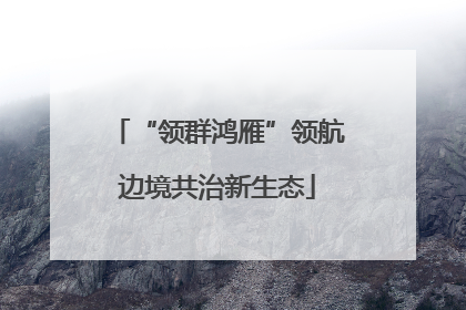 “领群鸿雁”领航边境共治新生态