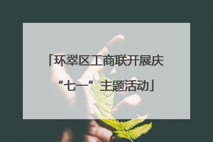 环翠区工商联开展庆“七一”主题活动