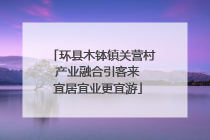 环县木钵镇关营村 产业融合引客来 宜居宜业更宜游