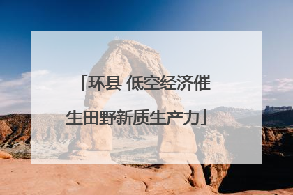 环县 低空经济催生田野新质生产力