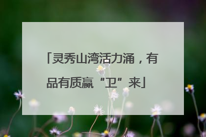 灵秀山湾活力涌，有品有质赢“卫”来
