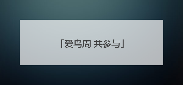 爱鸟周 共参与
