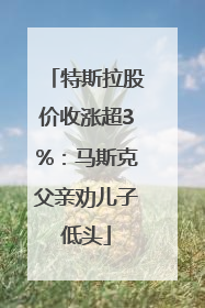 特斯拉股价收涨超3%：马斯克父亲劝儿子低头