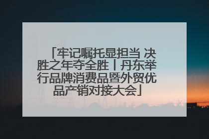 牢记嘱托显担当 决胜之年夺全胜丨丹东举行品牌消费品暨外贸优品产销对接大会