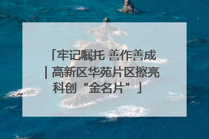 牢记嘱托 善作善成｜高新区华苑片区擦亮科创“金名片”