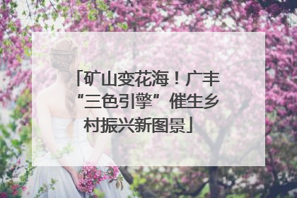 矿山变花海！广丰“三色引擎”催生乡村振兴新图景