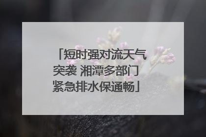 短时强对流天气突袭 湘潭多部门紧急排水保通畅