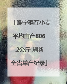 睢宁稻茬小麦平均亩产806.2公斤 刷新全省单产纪录