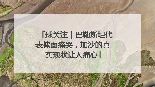 球关注｜巴勒斯坦代表掩面痛哭，加沙的真实现状让人痛心