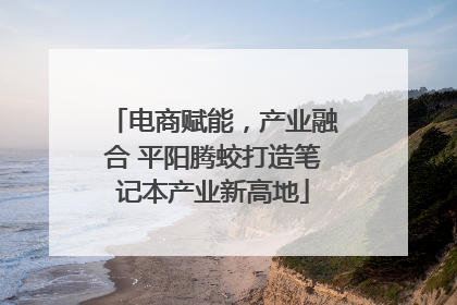 电商赋能，产业融合 平阳腾蛟打造笔记本产业新高地