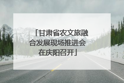 甘肃省农文旅融合发展现场推进会在庆阳召开