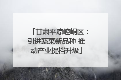 甘肃平凉崆峒区：引进蔬菜新品种 推动产业提档升级