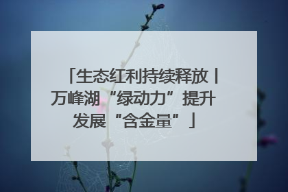 生态红利持续释放丨万峰湖“绿动力”提升发展“含金量”