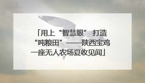 用上“智慧眼” 打造“吨粮田”——陕西宝鸡一座无人农场夏收见闻