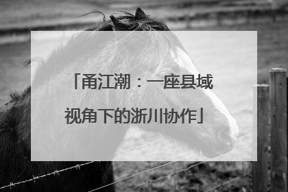 甬江潮：一座县域视角下的浙川协作